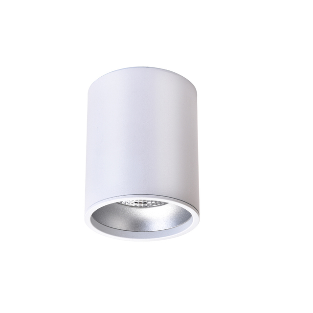 RT00117 Luz descendente montada en superficie de diseño interior